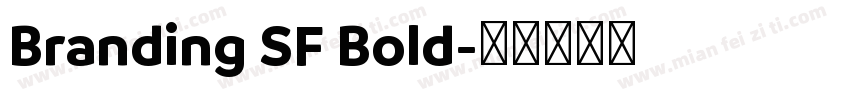 Branding SF Bold字体转换